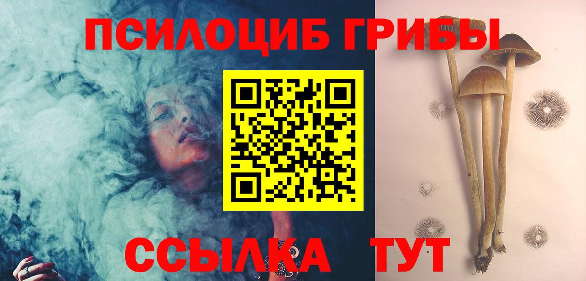 Псилоцибиновые грибы Psilocybe Орехово-Зуево